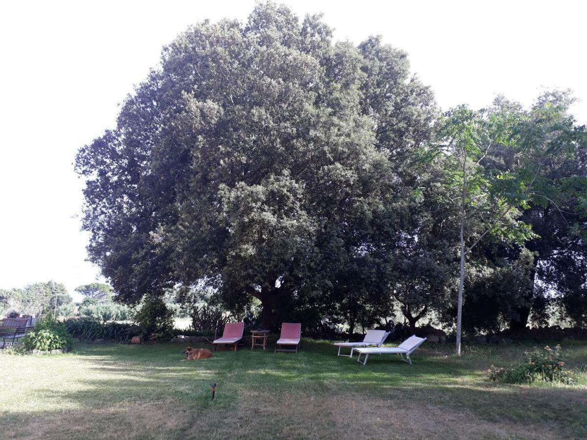 Tenuta Argiano Месане Екстериор снимка