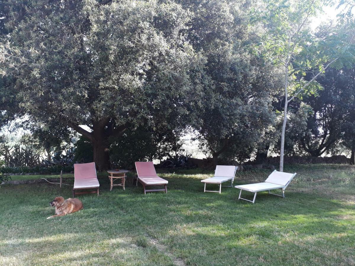 Tenuta Argiano Месане Екстериор снимка